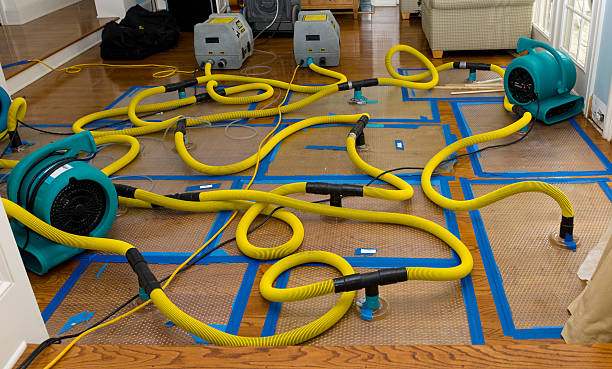 Professional Water Extraction technician working in Johnson Creek, WI