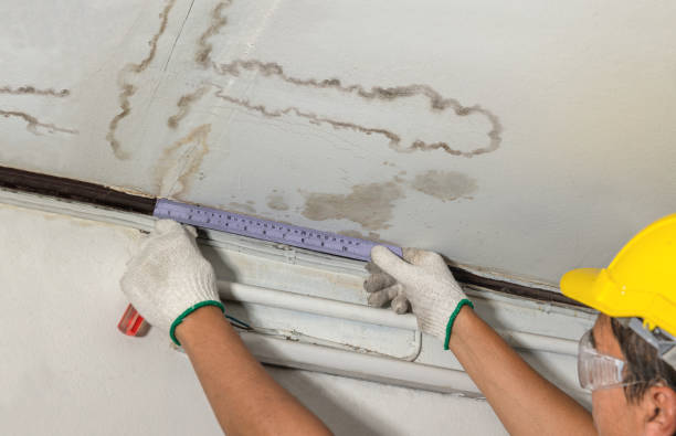 Affordable Water Damage Repair solutions in Johnson Creek, WI